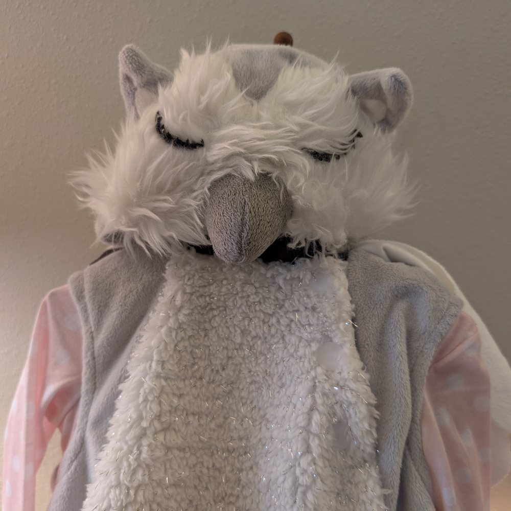 Adorable Owl Costume with Pink Sleeves